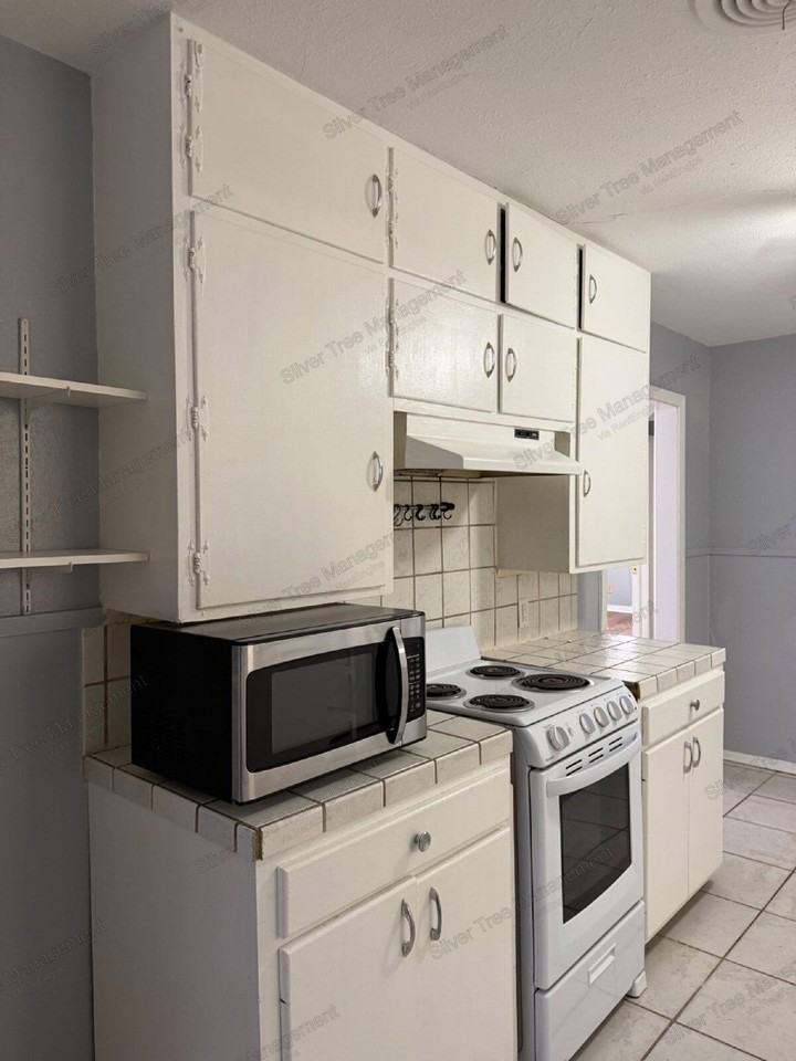 206 E Nelson St - Photo 4 of 9