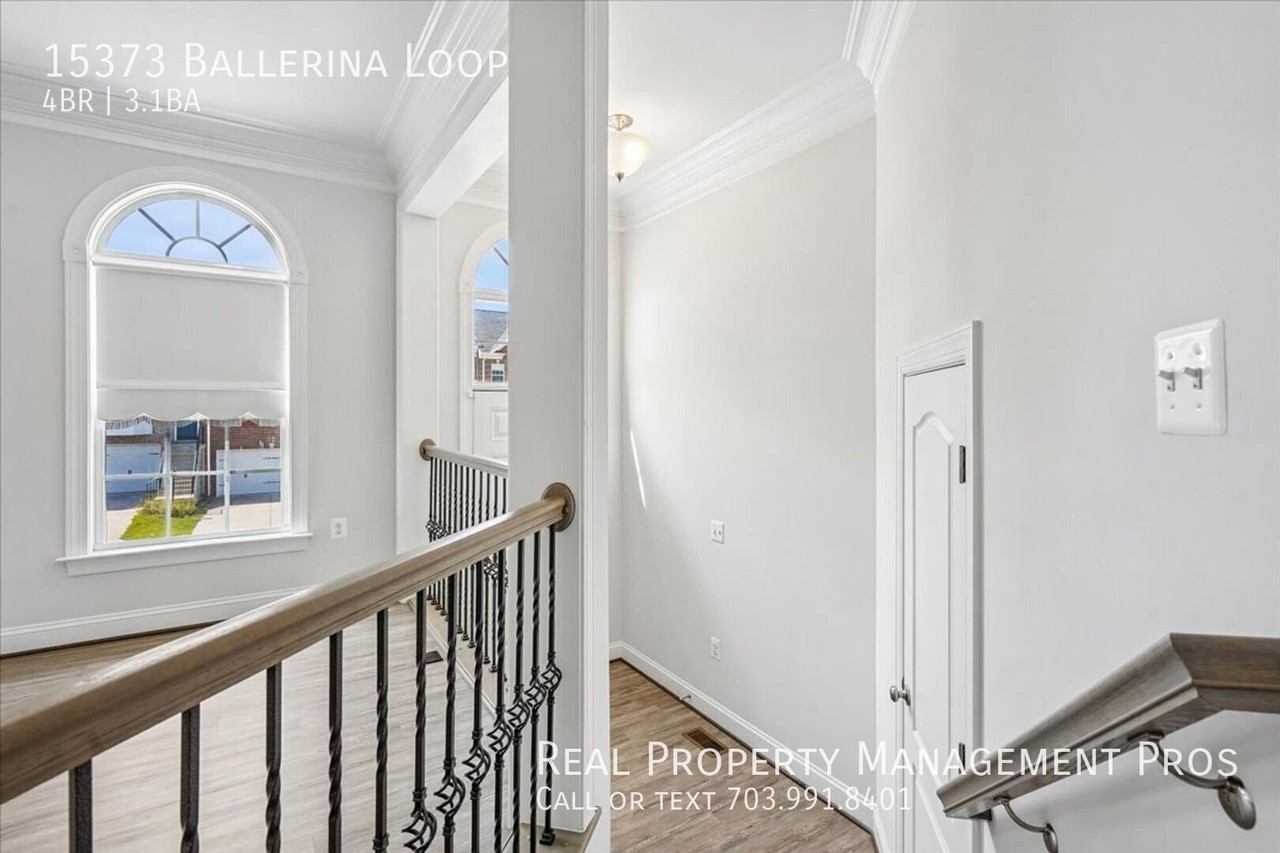 15373 Ballerina Loop - Photo 2 of 47