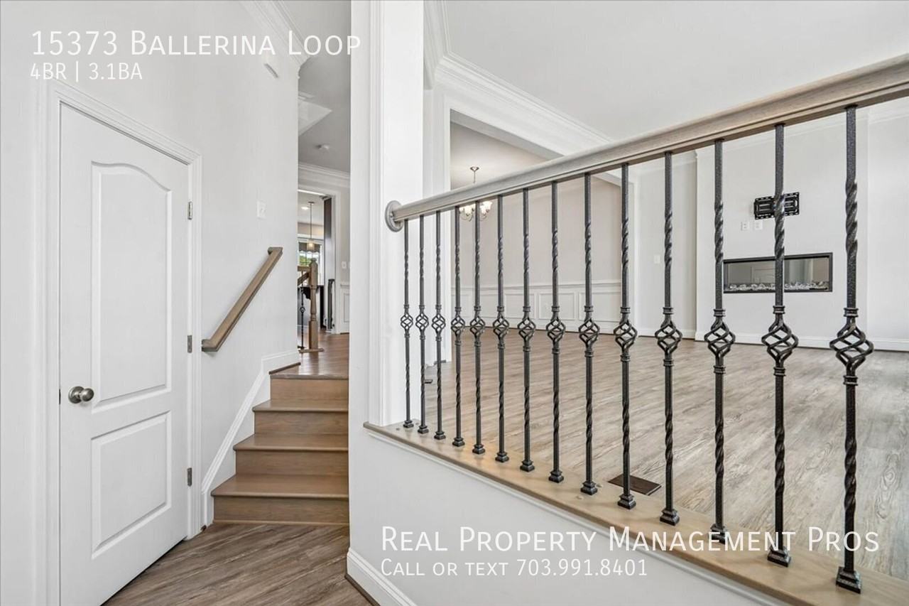 15373 Ballerina Loop - Photo 3 of 47