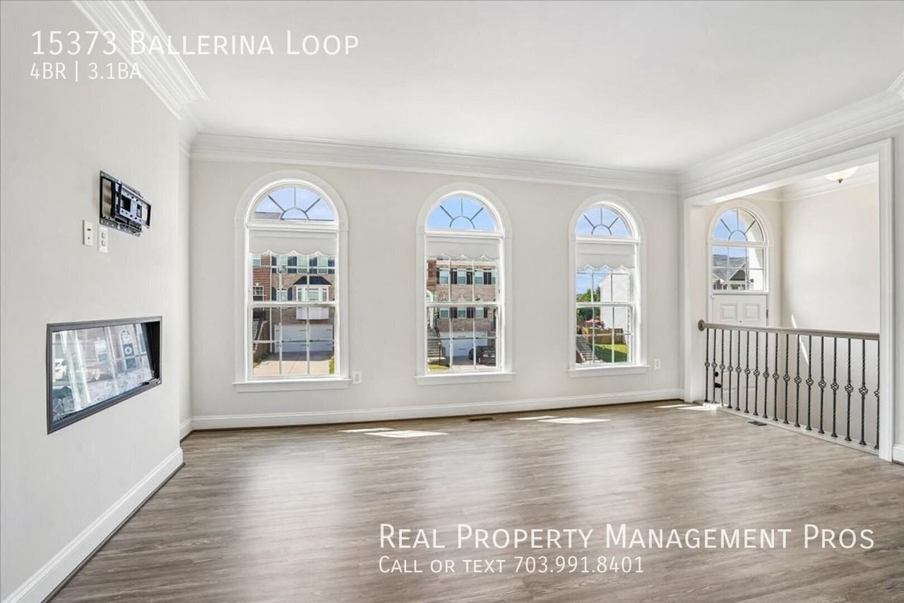 15373 Ballerina Loop - Photo 4 of 47