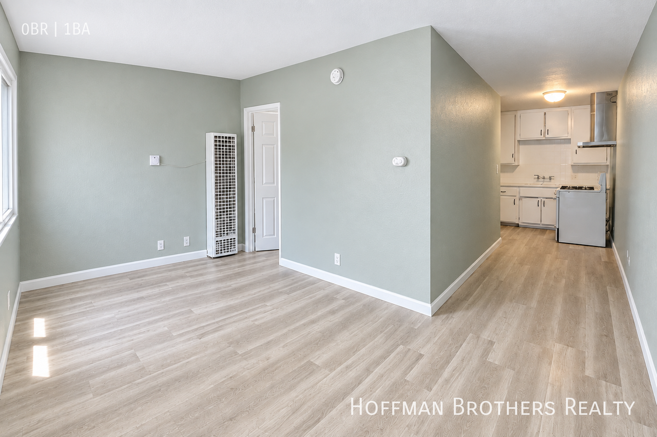 441 W Santa Cruz St #C