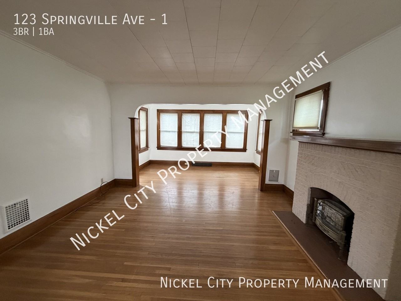 123 Springville Ave #1 - Photo 4 of 11