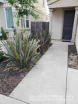 1712 Mammoth Way - Photo 1 of 1
