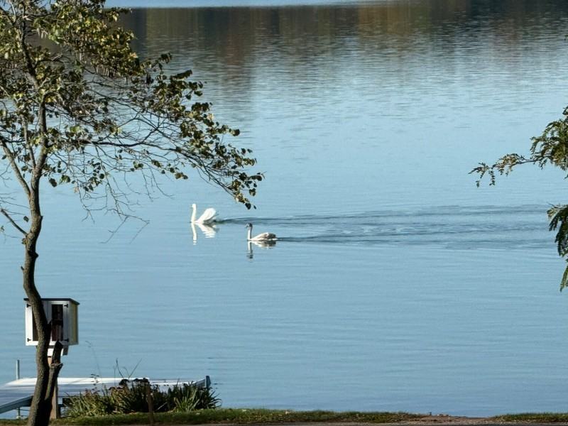 80 Lane 250a Lake Gage - Photo 5 of 10