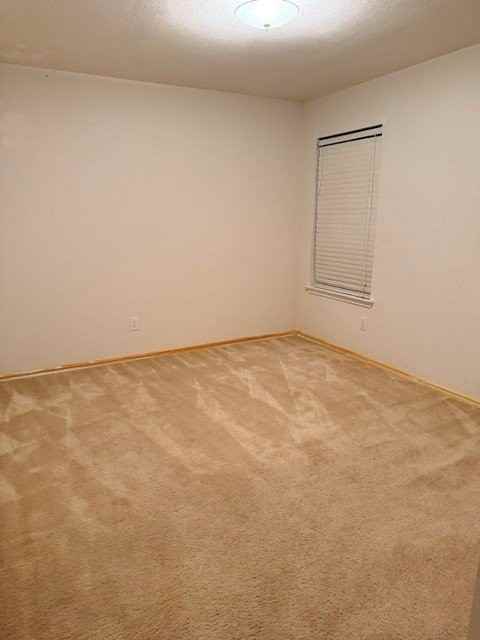 1225 Rio Bravo Dr - Photo 6 of 8
