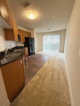 1225 Island Ave #216 - Photo 1 of 1