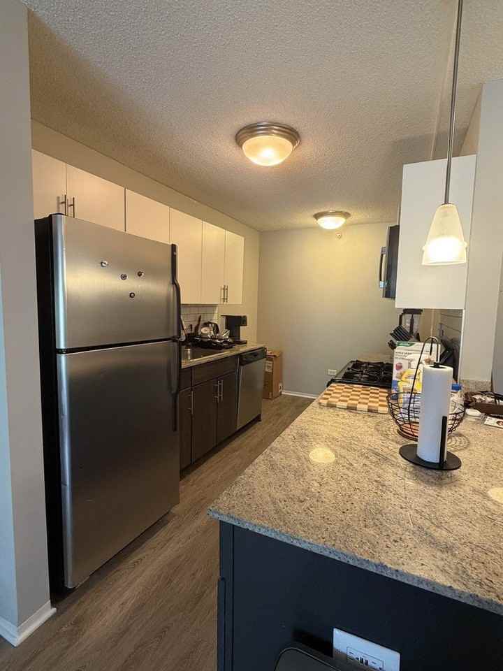 180 N Jefferson St #711 - Photo 4 of 20