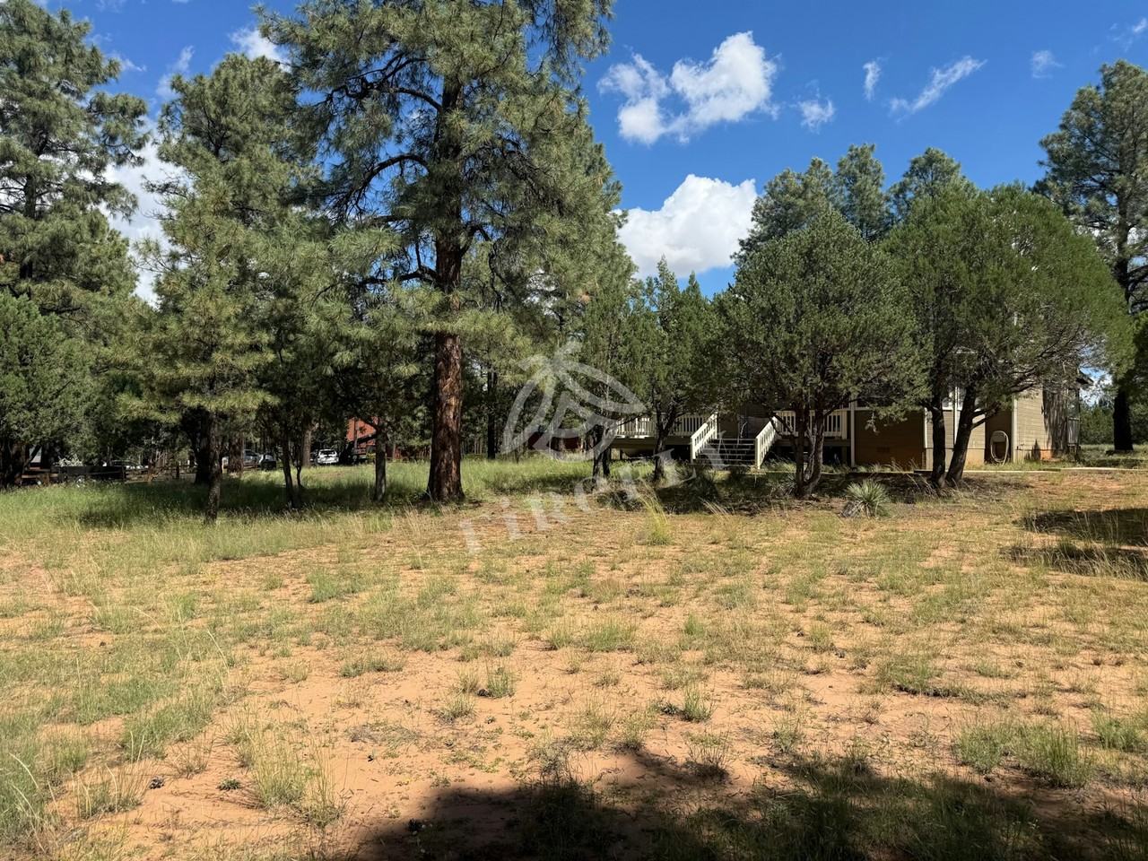 2974 Wapiti Drive - Photo 5 of 30