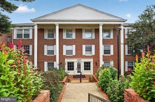 7621 Tremayne Pl #307 - Photo 1 of 1