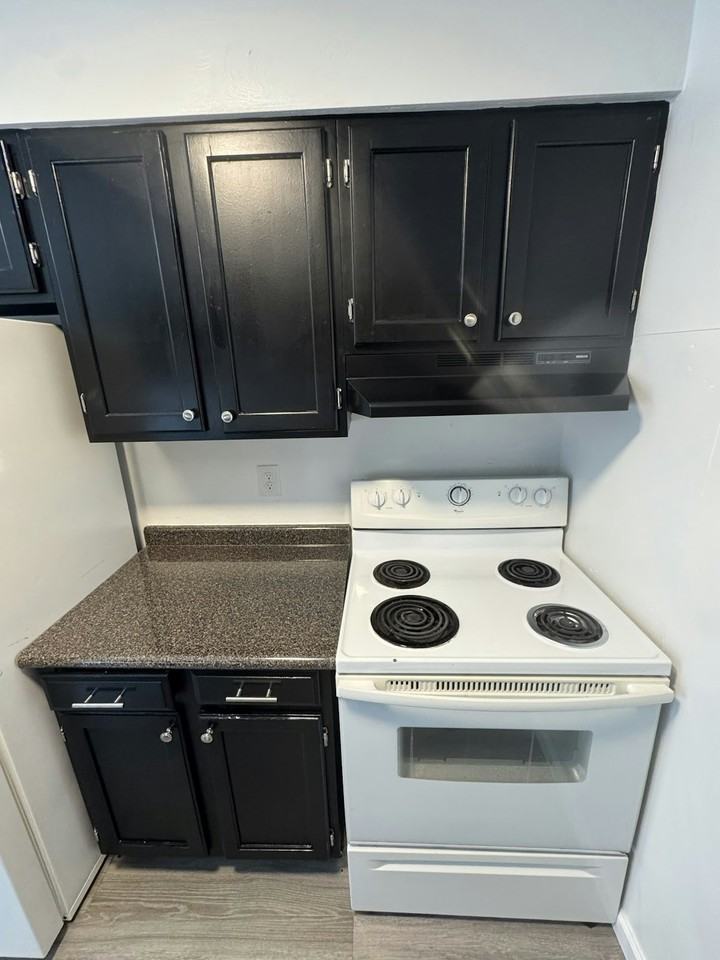 4165 West Ridge Road - Photo 2 of 36