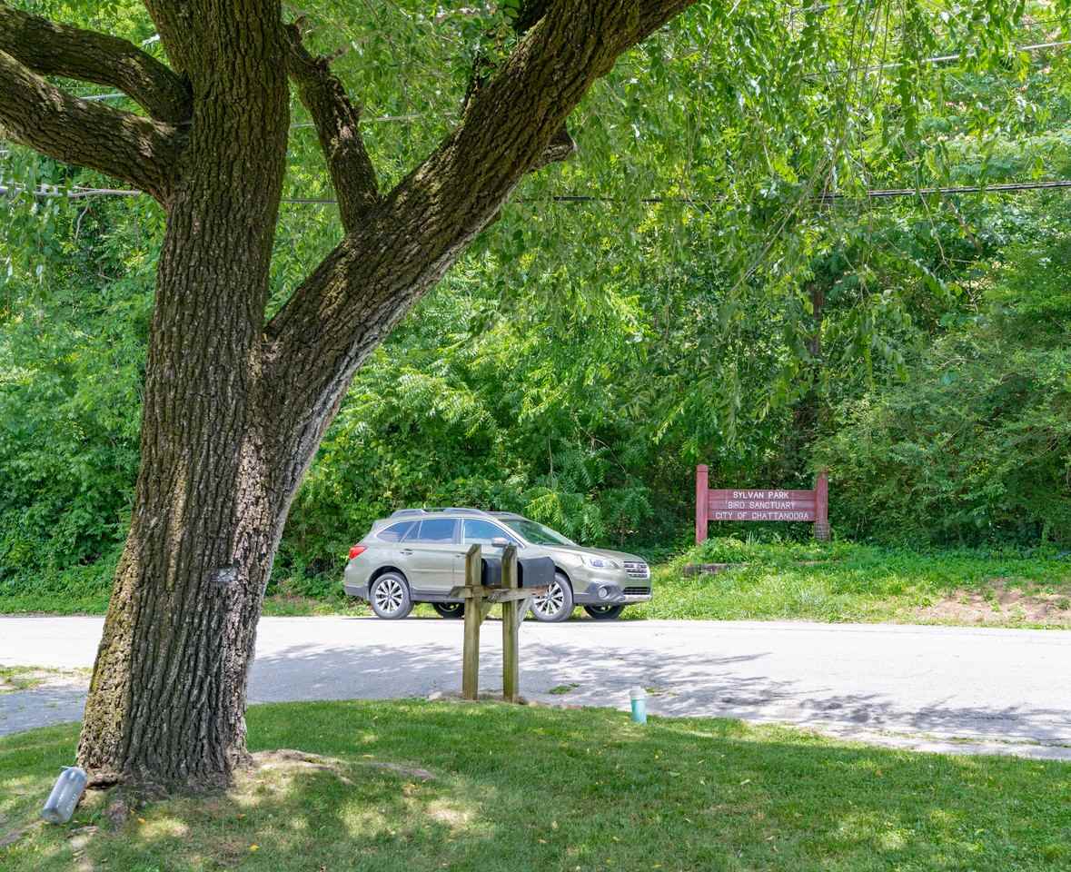 607 Franklin St #A - Photo 7 of 19