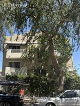 3350 Drew St #201 - Photo 1 of 1