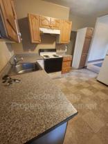 219 Pine St - Photo 1 of 1