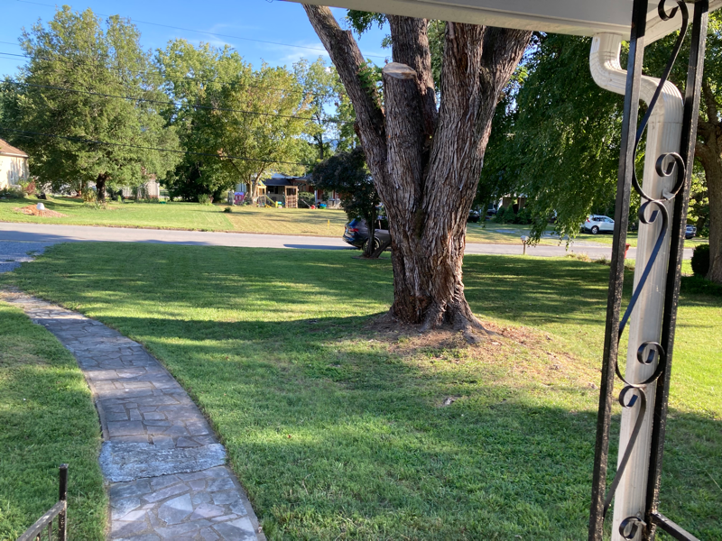 820 Polk Ave - Photo 3 of 16