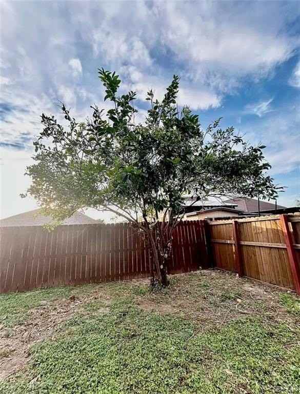 317 Whitewing Dr - Photo 6 of 27