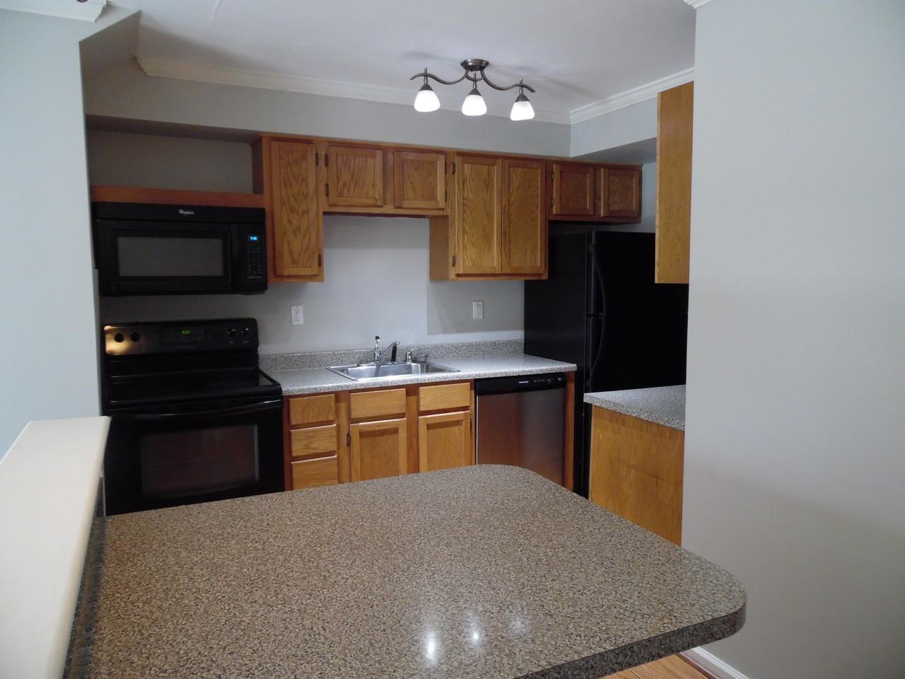 415 Marquis Ave #103 - Photo 3 of 8
