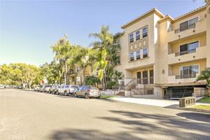 featured image of 556 E Palm Ave