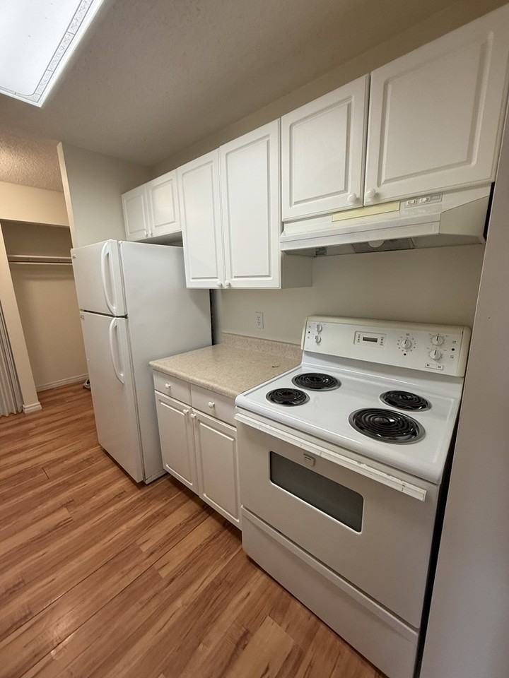 2520 Mainstreet On The Lake Phase 2 - Photo 6 of 19