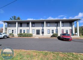 featured image of 243 Bamboo Rd