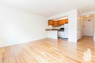 540 W Roscoe St ##172 - Photo 1 of 1