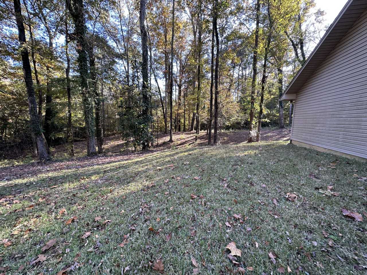 1411 Caney Ln #NA - Photo 2 of 18