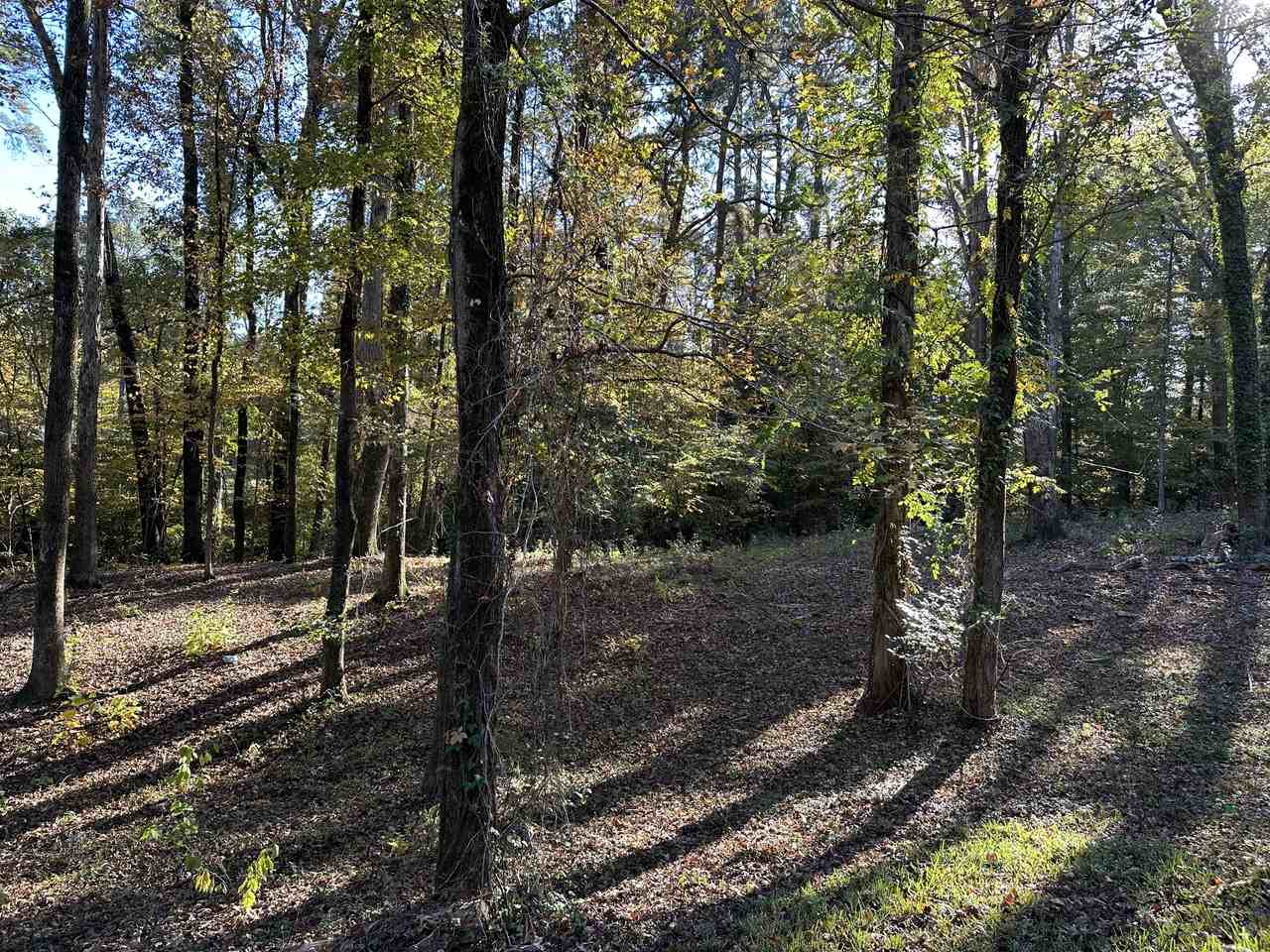 1411 Caney Ln #NA - Photo 4 of 18