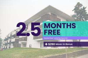 featured image of 1737 26 Ave Sw