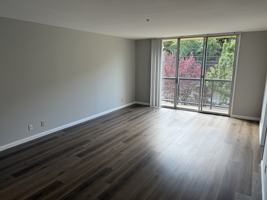 featured image of 101 Elliott Ave #7