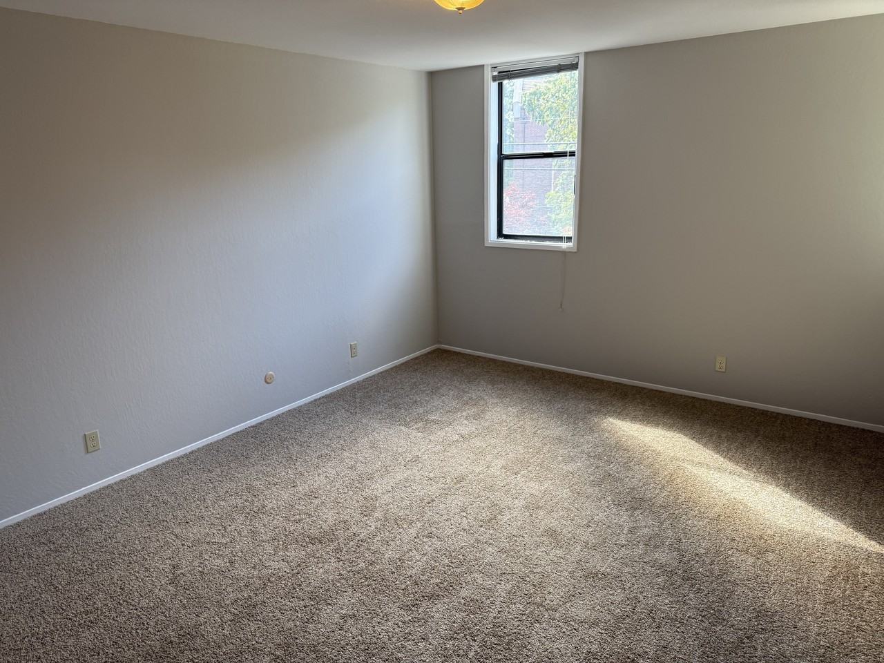 101 Elliott Ave #7 - Photo 4 of 12