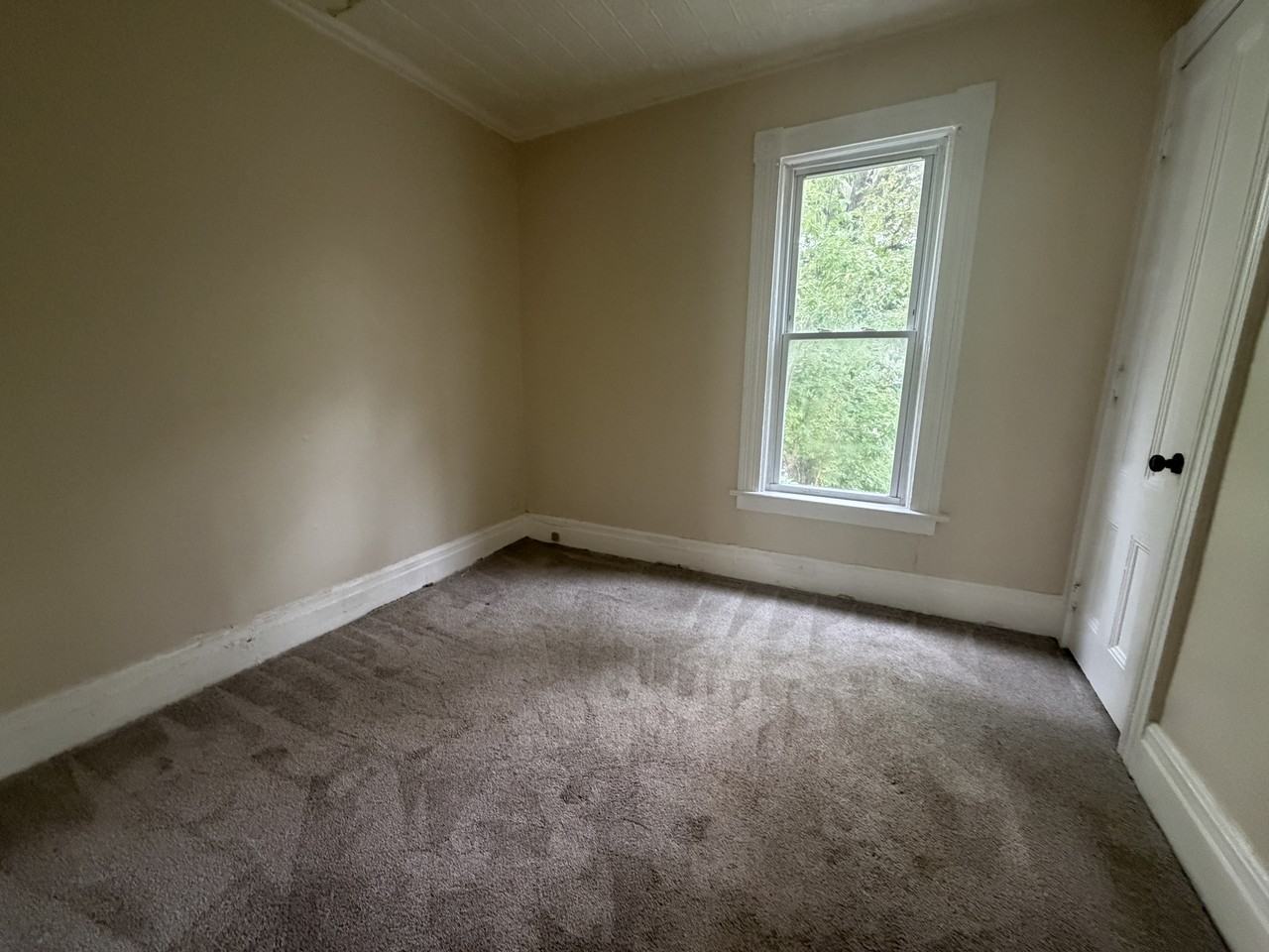 195 Masseth St #DOWN - Photo 6 of 7