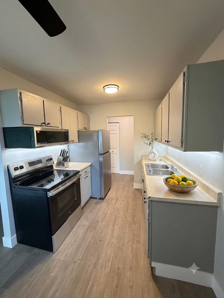 737 Louisa Street - Photo 3 of 22