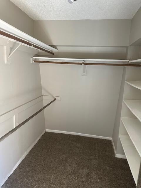 1786 S Park Ave - Photo 7 of 18