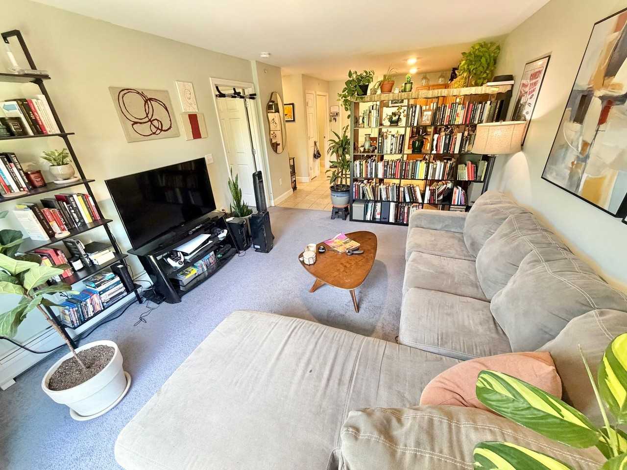 245 Pearl St - Photo 3 of 15