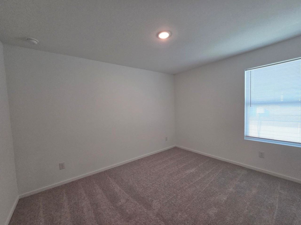 1117 Leicht Dr - Photo 5 of 18