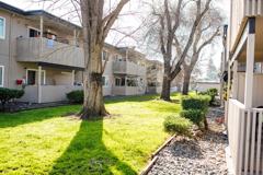 25341 Cypress Royale Apartments - Photo 1 of 1
