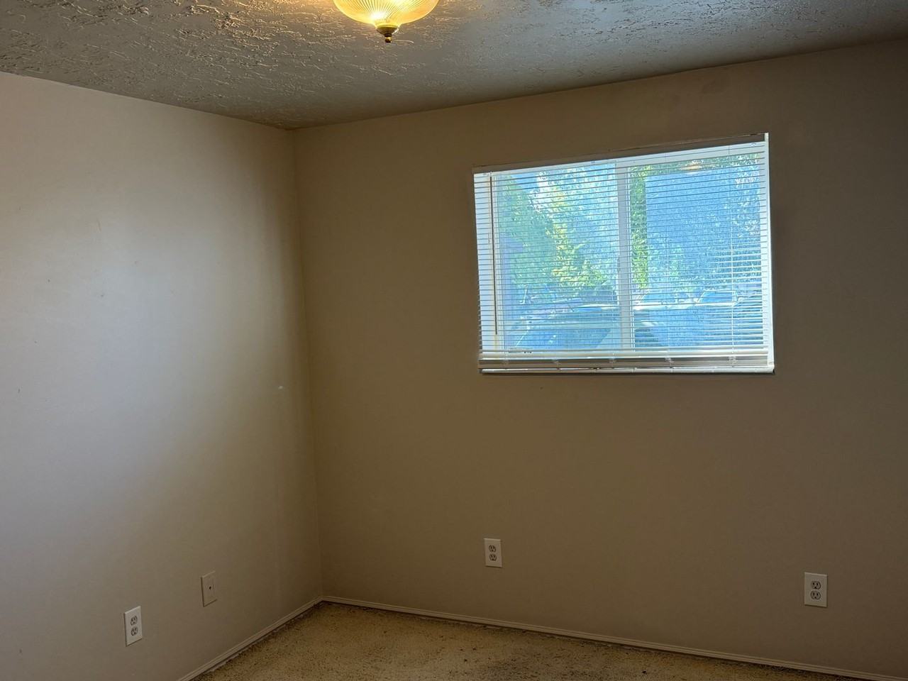 643 643 E 26th - 9 #9 - Photo 6 of 6
