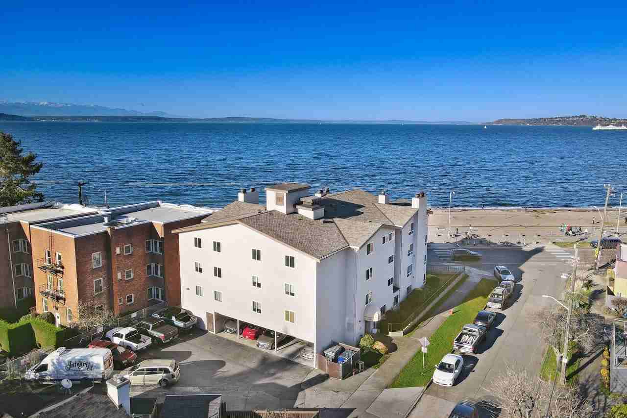 Alki Surf - Photo 4 of 9