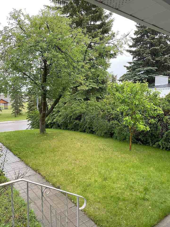 2412 Palisade Dr Sw - Photo 3 of 39