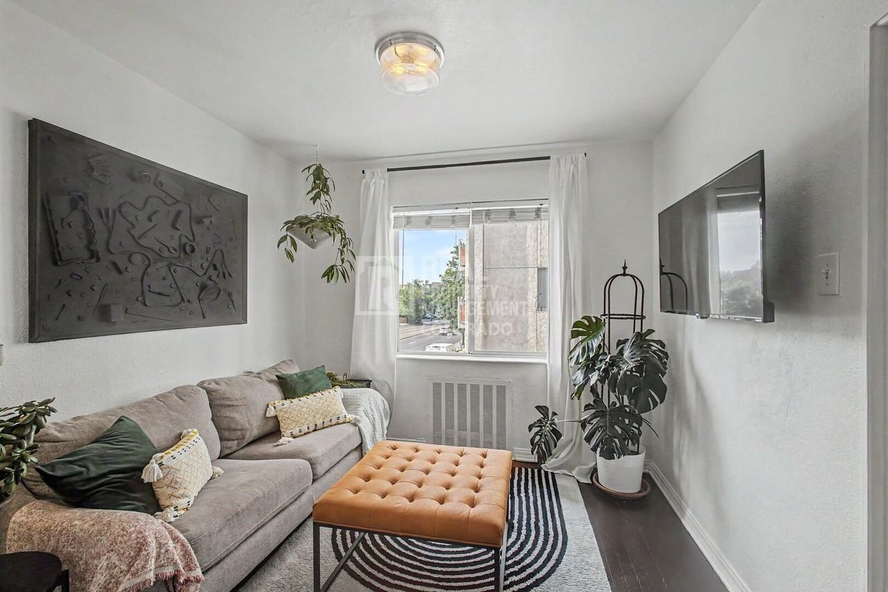 1100 N Colorado Blvd #206 - Photo 2 of 21