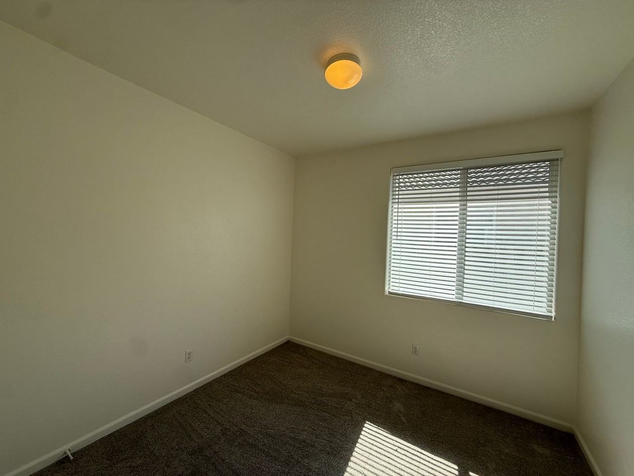 10136 Waterfield Dr - Photo 6 of 15