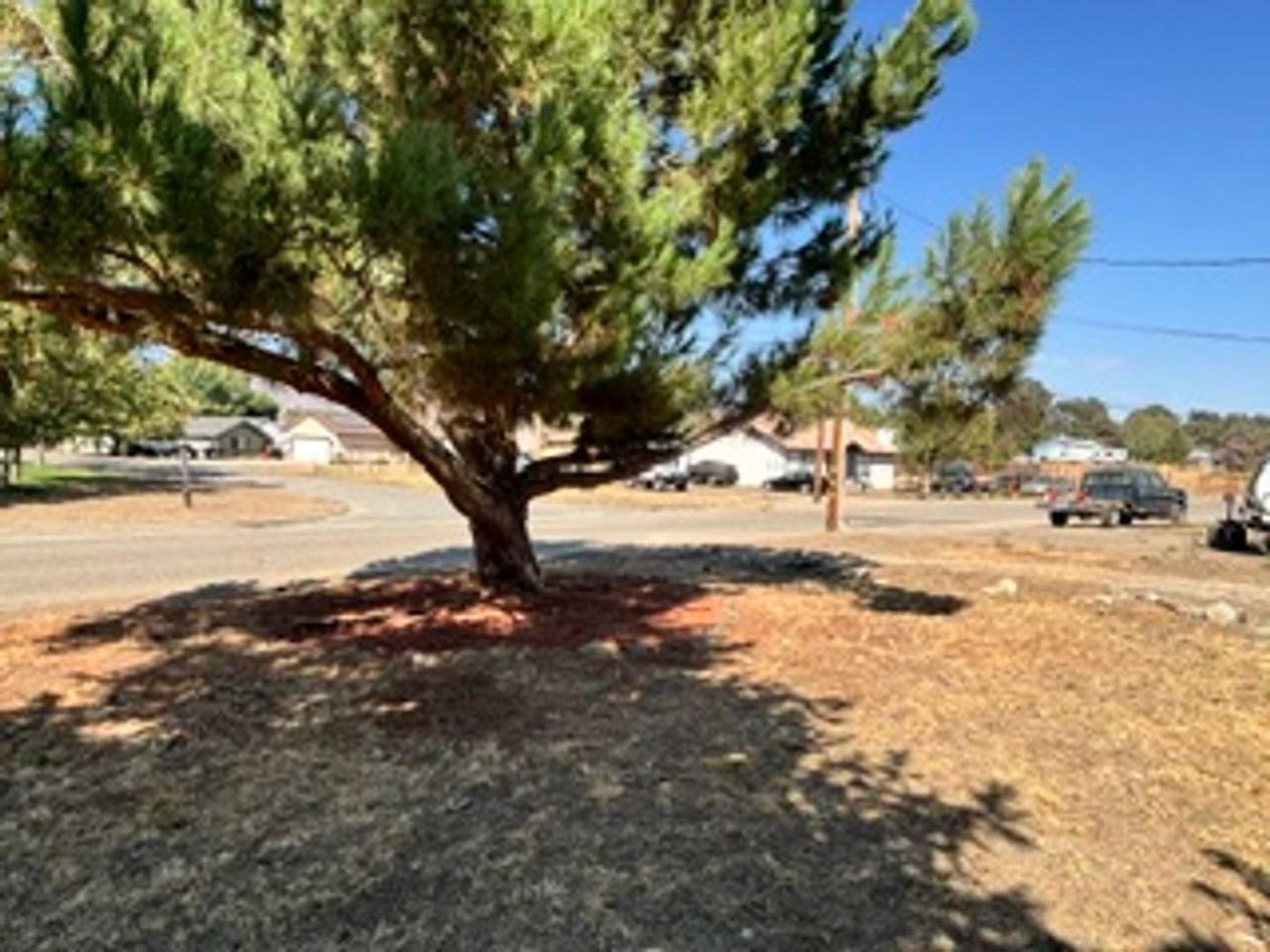 17861 Tanforan Dr - Photo 4 of 49