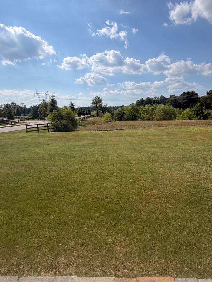 13937 Lannister Ln - Photo 6 of 22