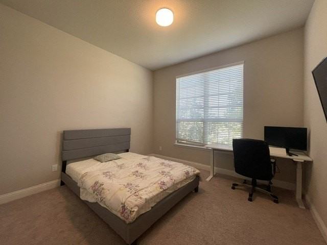 2924 Spirit Woods Ln - Photo 7 of 40