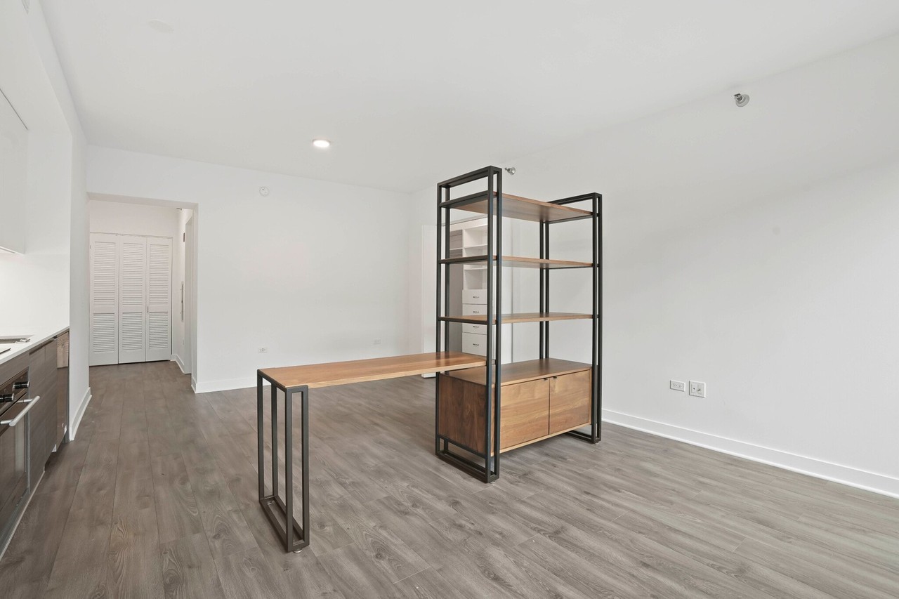231 W Hubbard St - Photo 3 of 17