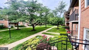 3330 Spring Ln #D10 - Photo 1 of 1