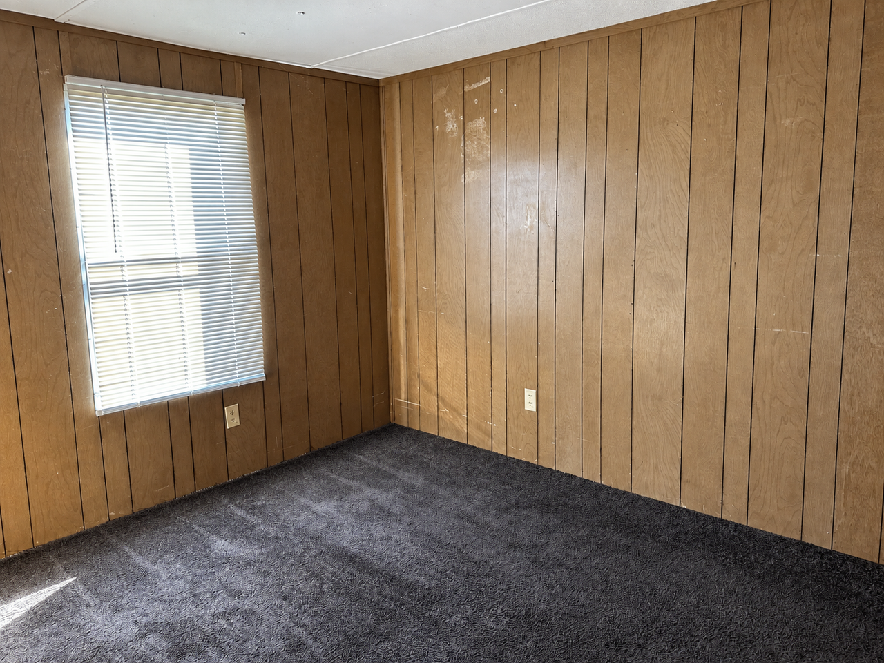 210 Lewis Street - Photo 5 of 13