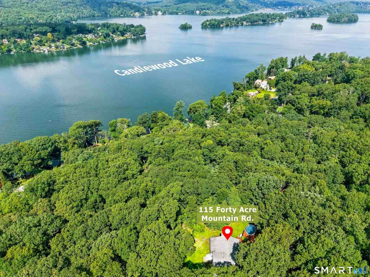 115 Forty Acre Mountain Rd - Photo 4 of 29