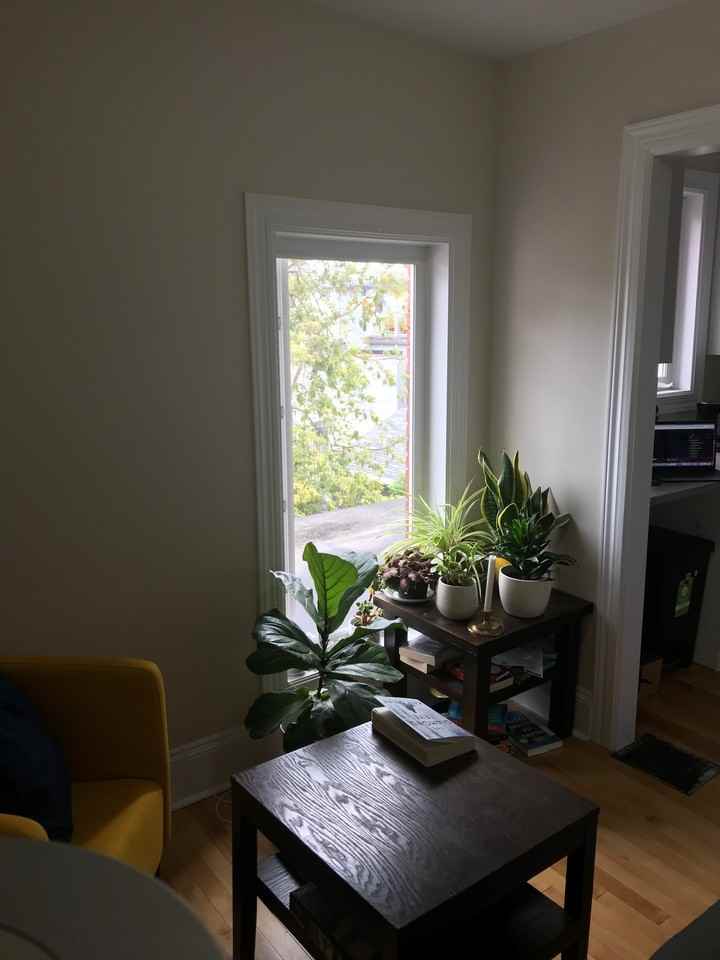 228 Primrose Avenue #2 - Photo 5 of 18