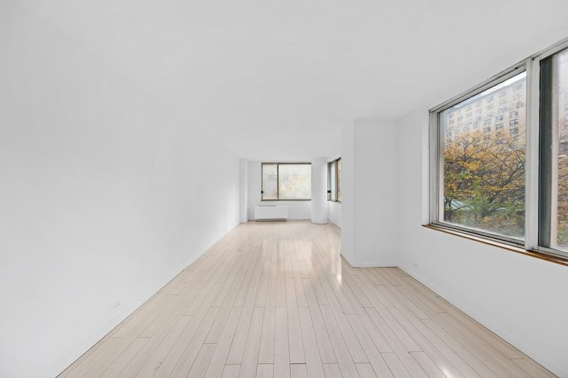 350 West 50th Street #4K - Photo 2 of 14