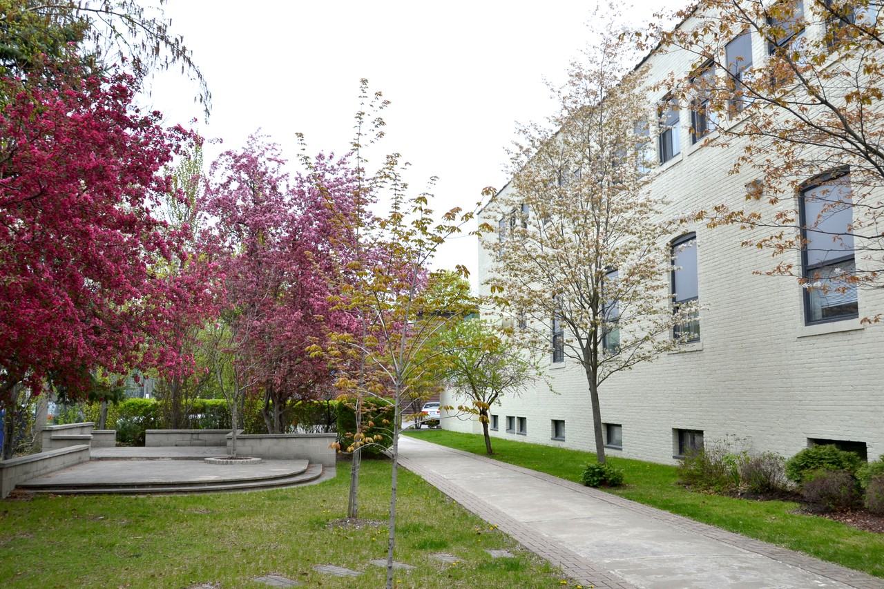 The Great Lakes College of Toronto - Photo 3 of 16
